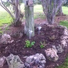 Mantener Jardín