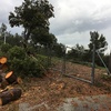 Instalar Cercados de malla o similar