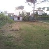 Limpieza de parcela (segar y