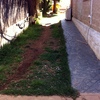 Cubrir Jardín de 100 m2 con Hormigón Estampado