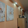 Insonorizar Pared