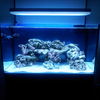 Acuario a medida