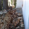 Reparar Zona Afecta Pared de Piedra