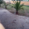Hacer Piscina de 8 m por 4 m y Otras Reformas