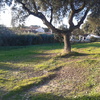 Allanar parcela de 1100 metros