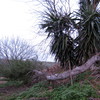 Gunitado de ladera