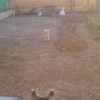 Cesped artificial/tepes