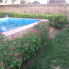 Echar cemento y pintura en piscina