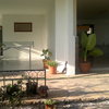 Pintar Exterior Casa (Unifamiliar)