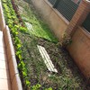Renovar jardin (retirar toda la tierra)