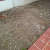 Suelo jardin