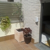Reformar terraza en santa coloma de cervelló
