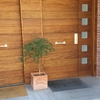 Dos puertas exteriores de