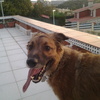 Reformar terraza exterior