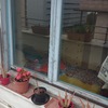 Pintar ventana-balcones