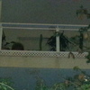 Reja en terraza de apartamento