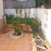 Arreglar jardin