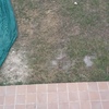 Solado jardin