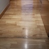 Restaurar parquet 55m sin
