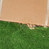 Eliminar avispas y nidos (varios como los de las fotos ) en jardin de unos 20m2