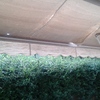 Cambiar toldo