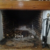 Puerta para chimenea