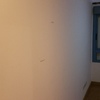 Pintado de paredes