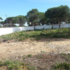 Poner hormigon impreso