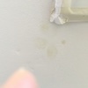 Reparar desperfectos fachada en edificio de oficinas y reparar/pintar humedades interiores