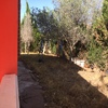 Puesta al dia jardin y piscina sucia
