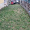 Asfaltar