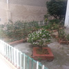Reforma de jardín comunitario