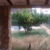 Jardineria