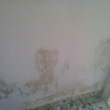 Pintar