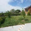 Mantenimiento /desbroce jardín