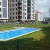 Mantenimiento anual de piscina y jardin de comunidad