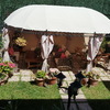 Suministrar Toldo (Sin Instalación)