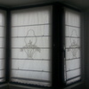 Adqusicion e instalacion de toldos ventana
