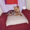 Tapizado