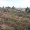 Excavación y allanado de finca