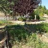 Hacer puesta a punto de jardín