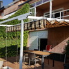 Arreglos de toldos