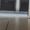 Hoja de cristal roza- adjunto foto