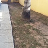 Morteros Autonivelantes