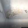 Pequeñas reformas en baño y cuarto lavadora(techo/ventana) + solución humedades en masía en valencia