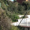Limpieza parcela (desbrozar)