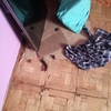 Limpieza piso