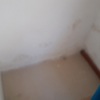 Reparación humedad pared