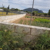 Construir Muro Bloque