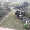 Mantener Jardín